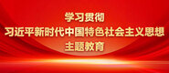 大鸡巴一区二区学习贯彻习近平新时代中国特色社会主义思想主题教育_fororder_ad-371X160(2)